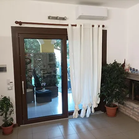 Veronica וילסימיוס