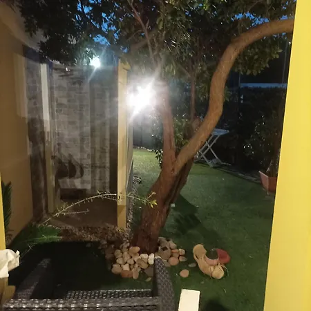 Veronica וילסימיוס