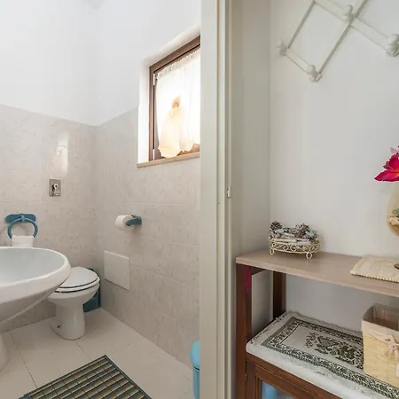 Veronica וילסימיוס